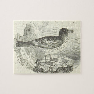 Vintage Look, Bird Standing on a Rock Puzzle