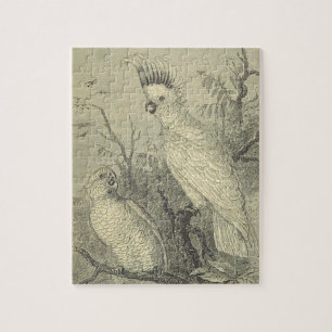 Vintage Look, Birds Perched in a Tree Puzzle