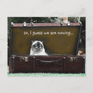 Vintage Look Colourized Sad Cat in Suitcase Moving Announcement Postcard