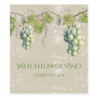 Vintage Look Green Grapes Vines Leaves