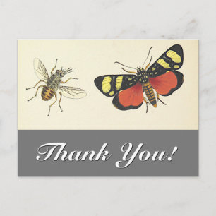 Vintage Look Insects "Thank You!" Postcard