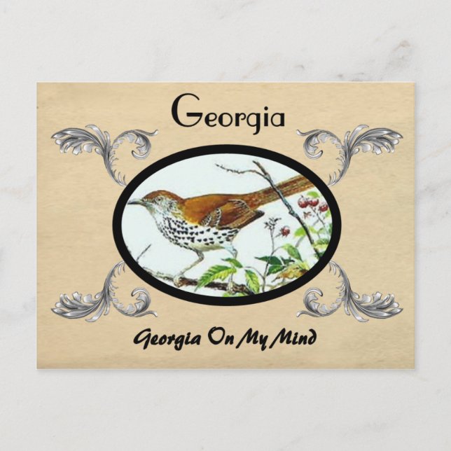 Vintage Look Old Postcard Georgia Stste (Front)