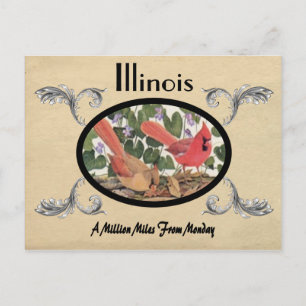 Vintage Look Old Postcard Illinois State
