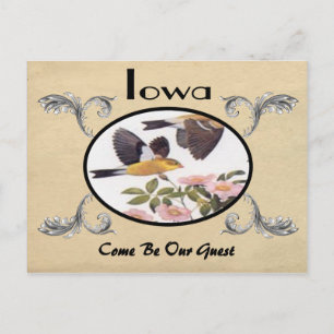 Vintage Look Old Postcard Iowa State