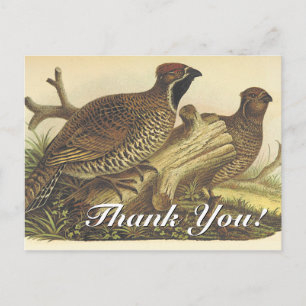 Vintage Look, Two Birds "Thank You!" Postcard