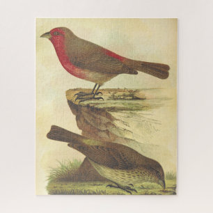 Vintage Look, Two Standing Birds Puzzle