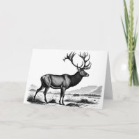 Vintage-Looking Engraving of a Reindeer Birthday
