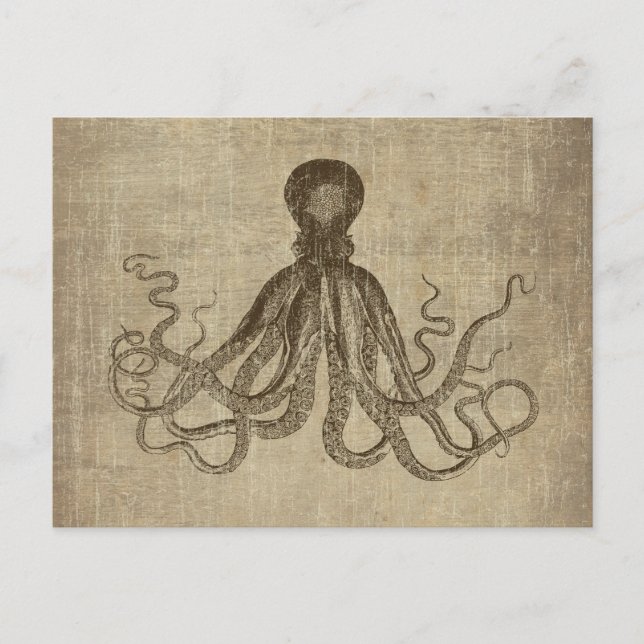 Vintage Lord Bodner Octopus Triptych Postcard (Front)