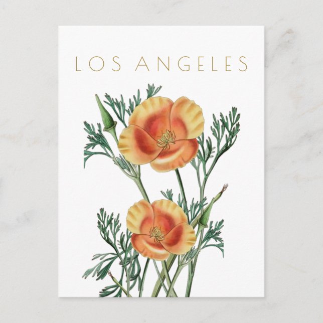 Vintage Los Angeles state flower travel midcentury Postcard (Front)