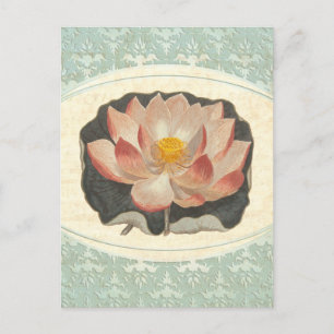Vintage Lotus Damask Elegant Antique Botanical Postcard