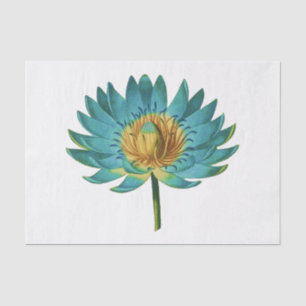 Vintage Lotus Flower #2 Tissue Paper