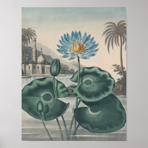 Vintage Lotus Poster