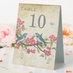 Vintage Love Bird Pink Red Teal Blue Green  Table 