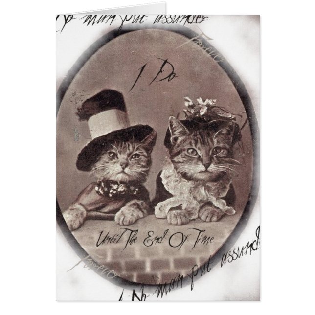 Vintage Love Cats Card (Front)