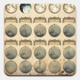 Vintage Lunar Cycle Chart - Celestial Moon Phases  Square Sticker