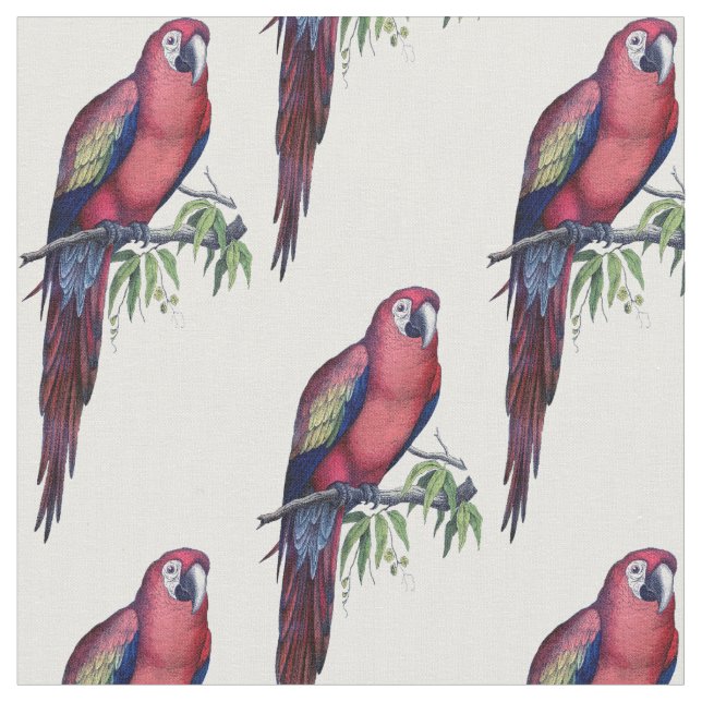Vintage Macaw Bird Fabric (Close Up)