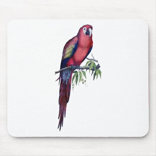 Vintage Macaw Bird Mouse Pad (Front)