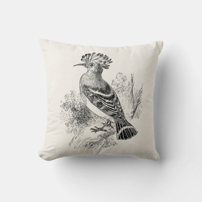 Vintage Madagascar Hoopoe Bird Personalised Birds Cushion (Front)