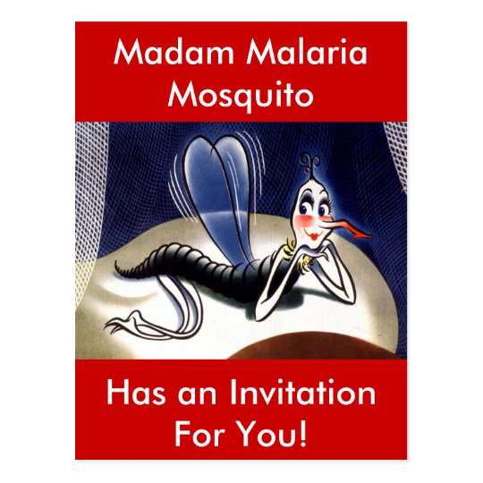Vintage Madam Malaria Mosquito Postcard