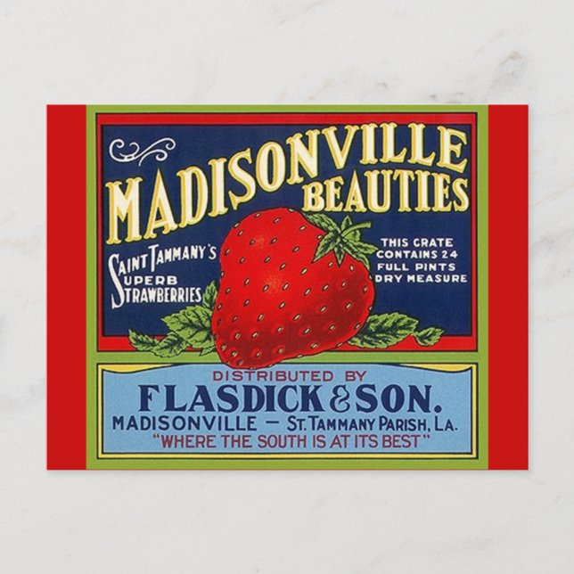 Vintage Madisonville LA Strawberry Crate Postcards (Front)