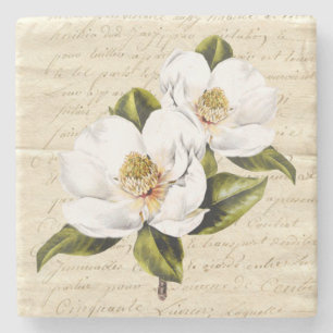 Vintage Magnolia Blooms Stone Coaster