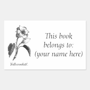 Vintage magnolia flower etching bookplate rectangular sticker