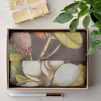 Vintage Magnolia Flowers Plant With Seeds Tissue Paper
