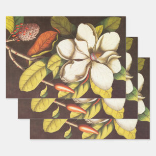 Vintage Magnolia Flowers Plant With Seeds Wrapping Paper Sheet