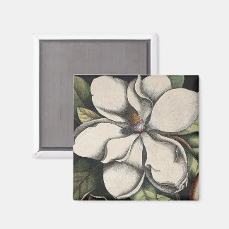 Vintage Magnolia Magnet