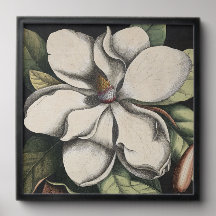 Vintage Magnolia
