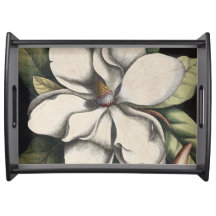 Vintage Magnolia