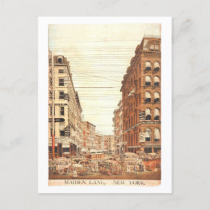 Vintage Maiden Lane New York City Postcard