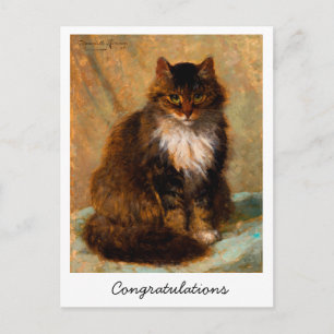 Vintage Maine Coon Cat Congratulations Postcard