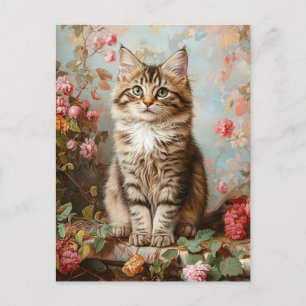 Vintage Maine Coon Kitten Painting Postcard