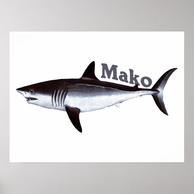 Vintage Mako Shark Poster (Front)