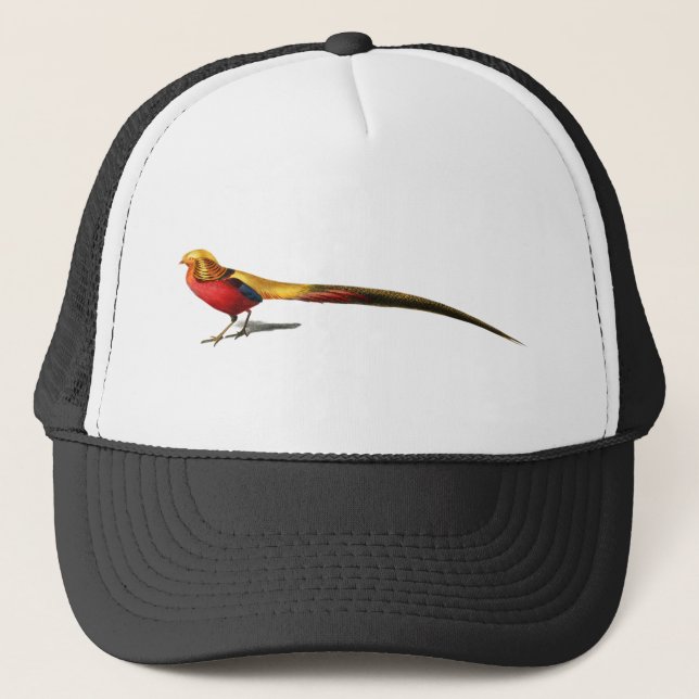 Vintage male golden pheasant bird Illustration Trucker Hat (Front)
