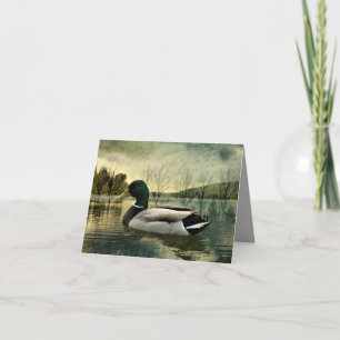 Vintage Mallard Duck Weathered Postcard