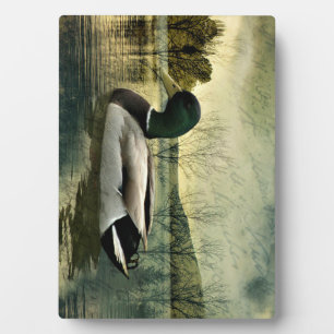 Vintage Mallard Duck Weathered Postcard Plaque