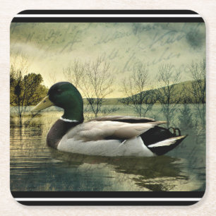 Vintage Mallard Duck Weathered Postcard Square Pap Paper Coaster