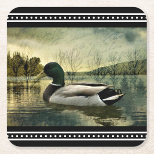 Vintage Mallard Duck Weathered Postcard  Square Paper Coaster