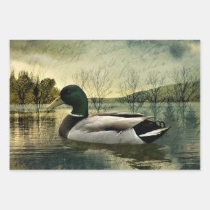 Vintage Mallard Duck Weathered Postcard Wrapping Paper Sheet