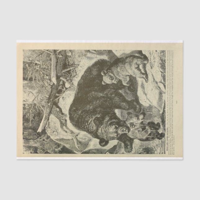 Vintage Mama Bear Ephemera Decoupage Tissue Paper (Front)