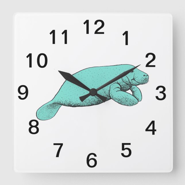 Vintage Manatee Drawing Aqua Square Wall Clock (Front)