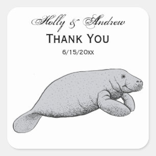 Vintage Manatee Drawing Square Sticker