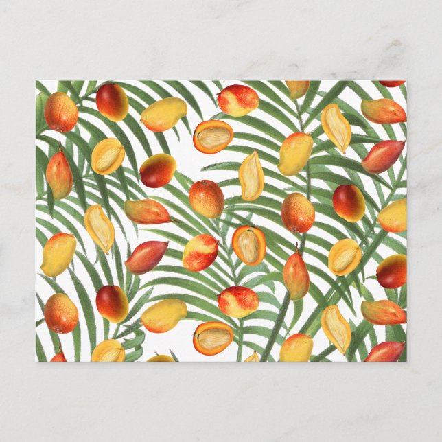 Vintage Mango & Greenery Summer Fruit Pattern Holiday Postcard (Front)