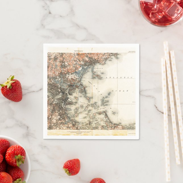 Vintage Map of Boston Napkin (Insitu)