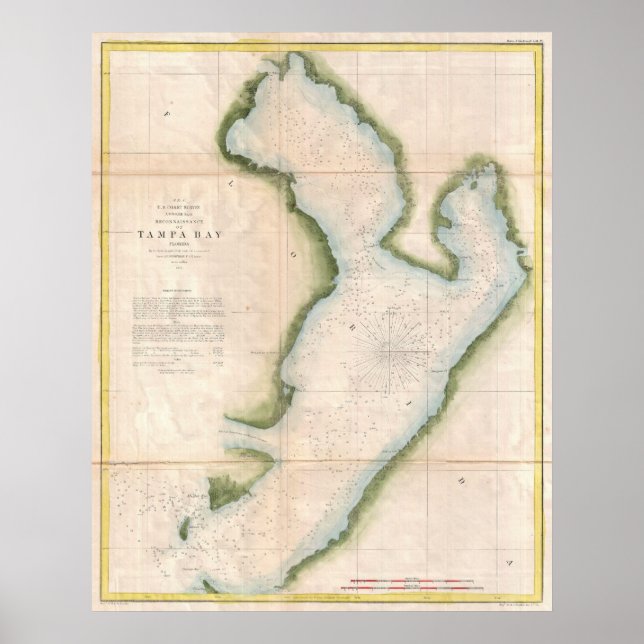 Vintage Map of Coastal Tampa Bay (1855) Poster (Front)