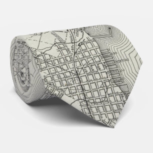 Vintage Map of Duluth MN (1901) Tie