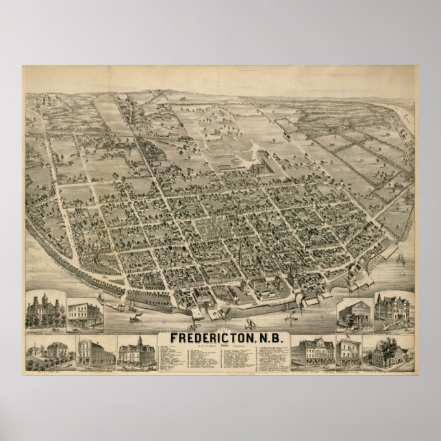 Vintage Map of Fredericton New Brunswick (1882) Poster (Front)