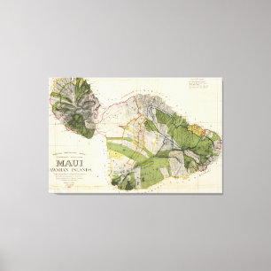 Vintage Map of Maui Island (1906) Canvas Print